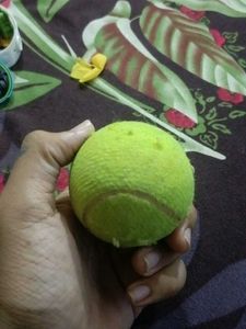 Tennis Ball