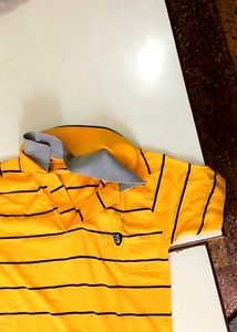 Double Coloured T Shirt