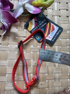 Pet Collar 1 Pc