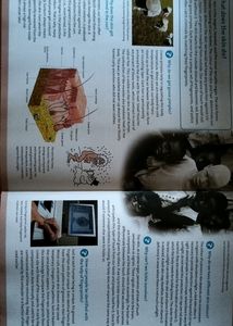 Knowledge Encyclopedia