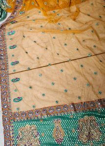 Gorgeous Lehenga Choli