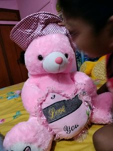 Big Size Teddy