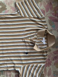 Striped Polo Shirt