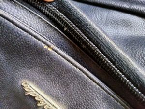 Esbeda Bag Backpack
