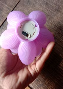 Home Decoration
