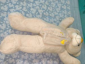 Giant Teddy Bear