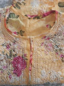 Chikan Chiffon Kurta On a Printed background