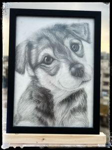 Cute Puppy Sketch