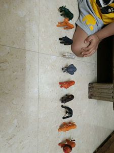 Animal Figure Set
