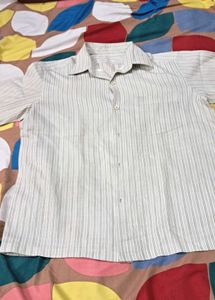 Strip Line Shirt White   Olivia  Green .