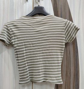 The Pistachio Colour Calvin Klein Tshirt