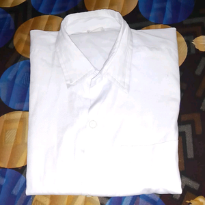 school Shirt