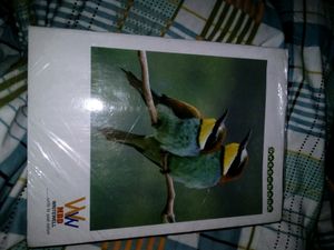 Notebook Copy