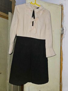 Elegant Black and Beige Dress
