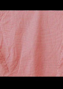 Red &amp; White Sleeveless Top