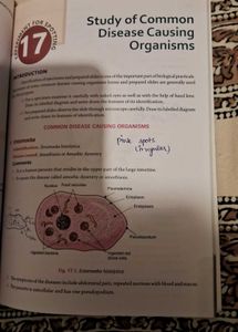 Biology Lab Manual - Class XII