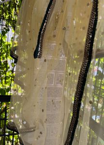 Embellished Dupatta