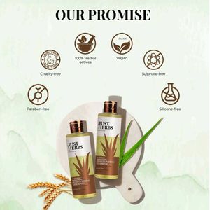JUST HERBS ANTI HAIRFALL SHAMPOO