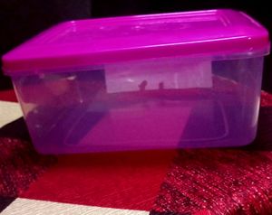 New Empty Container Box