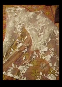 Net Embroidered Dupatta