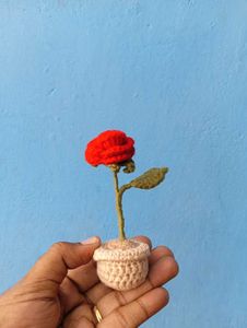 Rose pot