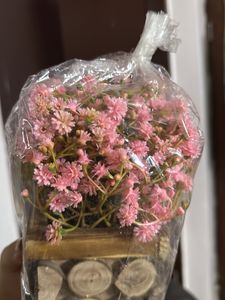 Artificial Plant