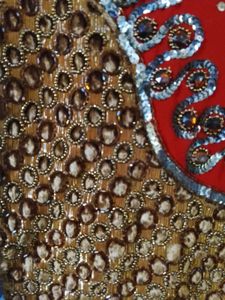Rust Embellished Saree