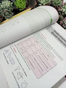 Mathematics Class 8 NCERT