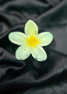 Trendy Flower Claw 🌸