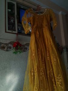 Mirror Mustard Work Gown