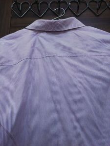 purple striped shirt