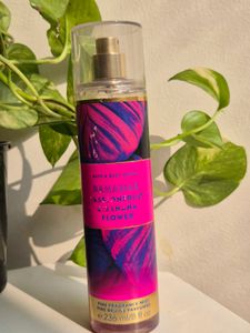 Bahamas | 10ml Decant