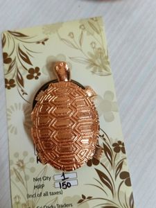 Copper Kachuwa