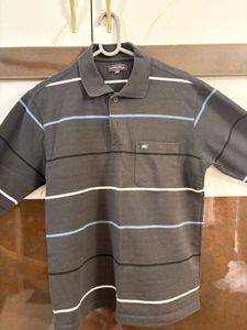 Striped Polo Shirt/ Sweatshirt