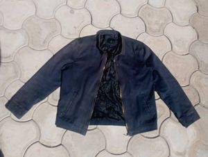Carhartt Looking Jacket
