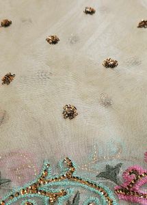 Elegant cream net saree