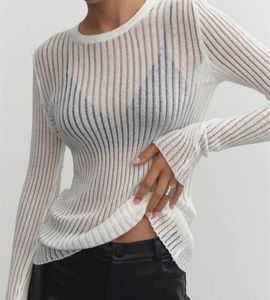 Classic Zara Sheer Top