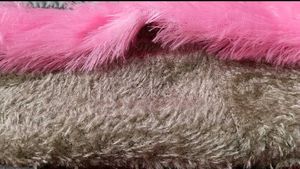 Pack of two - Earmuff &amp; Hood