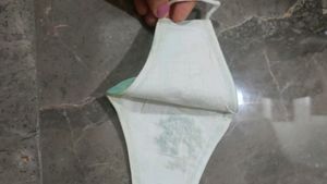Branded Mask With Handwork