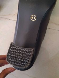 COLO Black Pointed Bellies