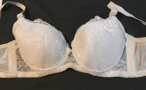 Imported Pushup Bra
