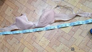 Lace Detail Padded Bra