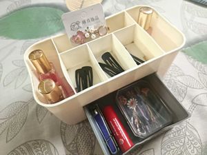 Price Drop!! Cute Mini Organizer For Makeup