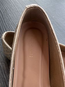 Eridani Golden Flat Bellies