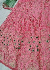 Pink Embroidered Lehenga Choli Set
