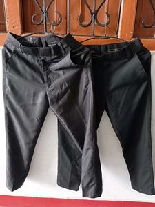 Black Formal pants