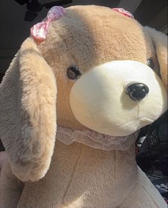 Dog Plush Toy