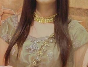 Elegant Lehenga Choli Set