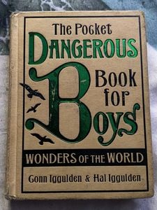 The Pocket Dangerous Book for Boys