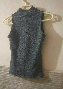 Body Fitted Shimmer Top